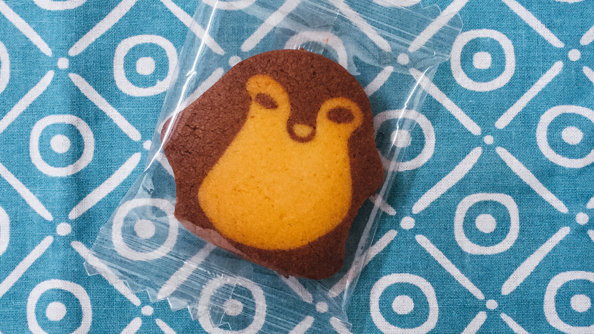 我们居然吃了一座“动物园”！