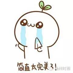 扬州十大民宿第一名,扬州民宿60元包吃住