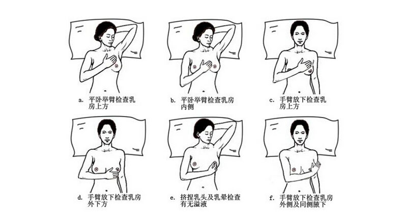 查乳腺为什么要查甲状腺,甲状腺乳腺科怎么检查