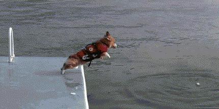 天辣么热想游泳？不关注这些细节，游泳后就要上医院了！