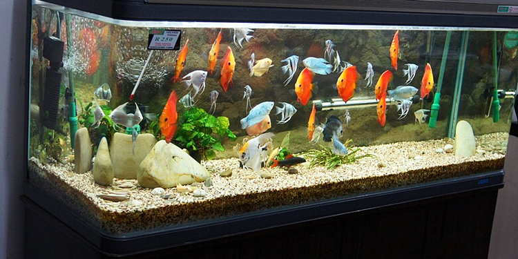 水族箱底部漏水怎么处理,水族箱上的水漏水怎么办