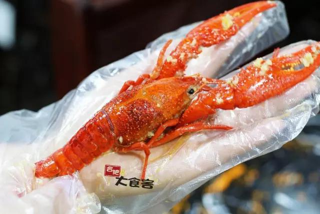 金湖龙虾正宗,金湖精品龙虾