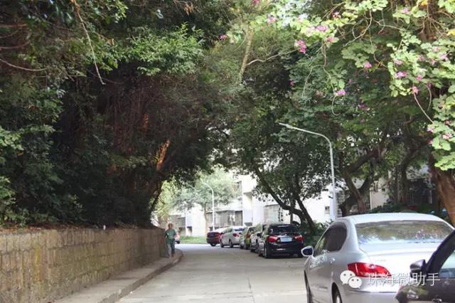 珠海最值得一去的特色街，我只去过5个，你呢？