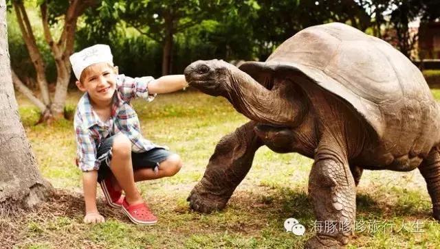 原来星球上还有这样的地方——哆哆的自然地理课！