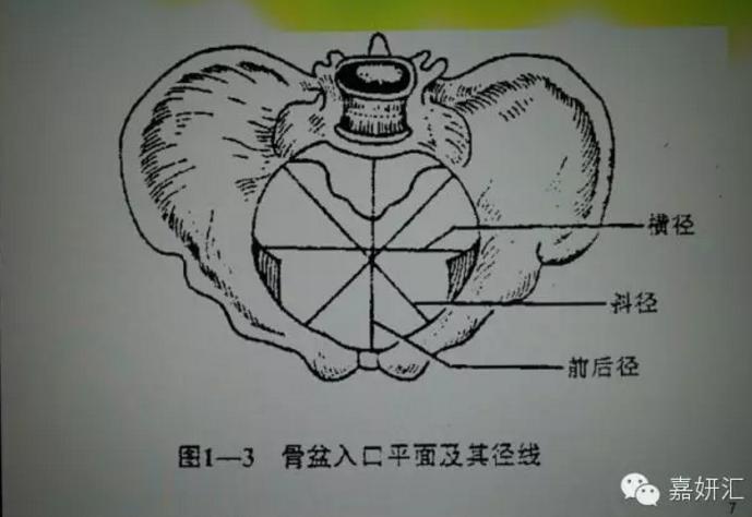 配合医生快速自然分娩,如何快速自然分娩技巧