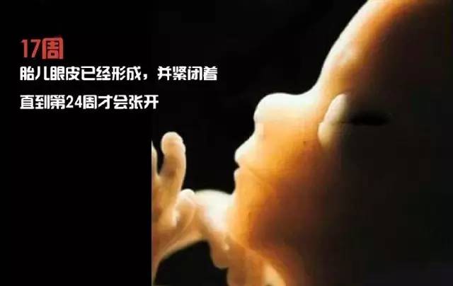 造人计划之前必须要做的几件事,造人是个很辛苦的事情