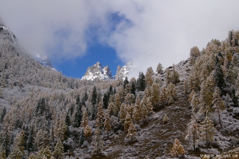 古道，细雨，暮雪-我的长坪沟半截秋色之旅
