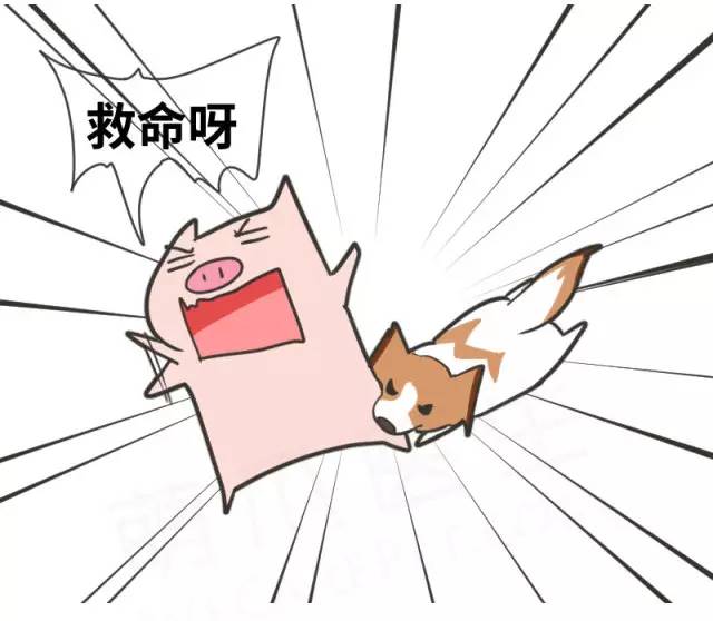 身娇贫乳双马尾，准备好舔屏了吗？！