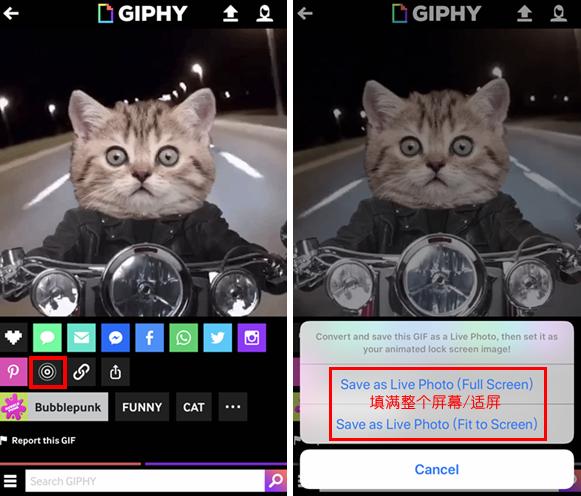 livephoto功能在哪里,livephoto三种效果