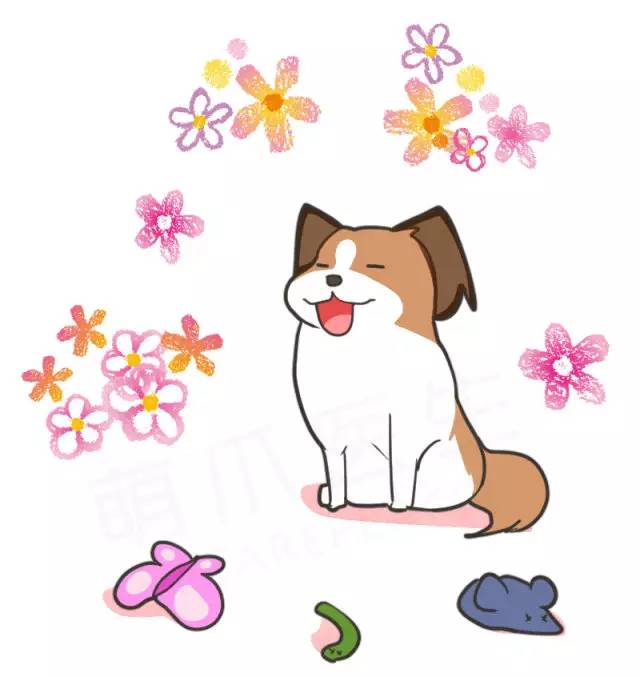 身娇贫乳双马尾，准备好舔屏了吗？！