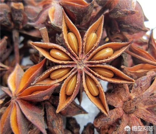 炖瘦肉硬怎么办,炖瘦肉怎么能炖烂