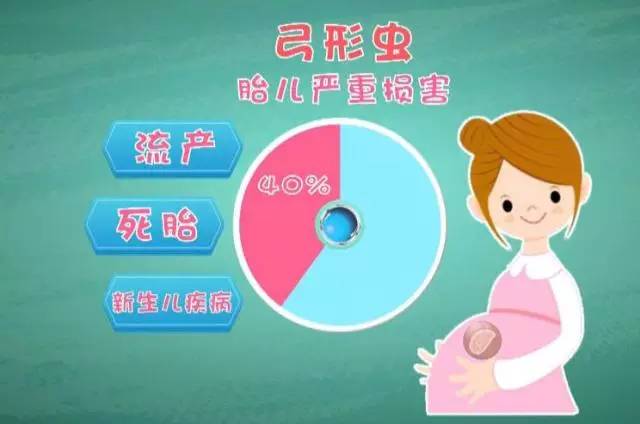 狗狗定期驱虫还会有弓形虫感染吗,养猫猫狗狗会得阴虱吗