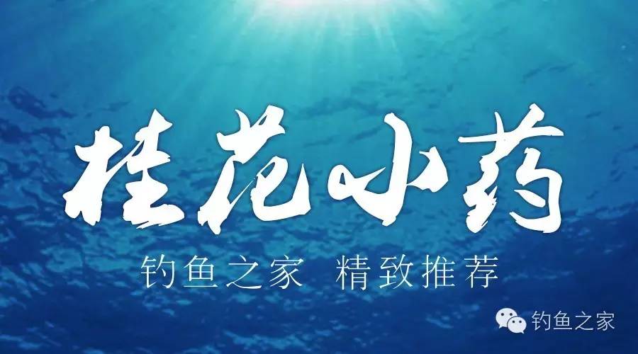 饵料诱鱼效果好,以桂花味为主的钓鱼小药怎么配