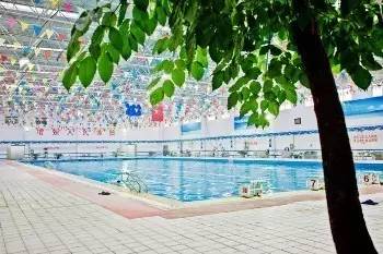 炎炎夏日怎么少得了游泳,洛阳有哪些比较好的游泳馆