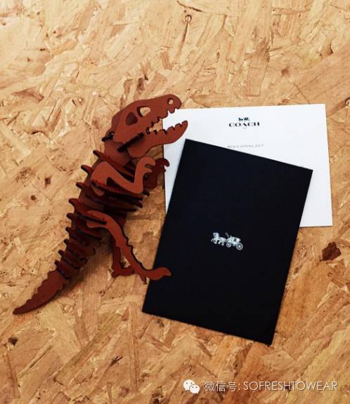 大发现|穿Coach的都是美少年