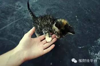 空姐吐槽航空餐难吃,女空姐吐槽飞机餐难吃