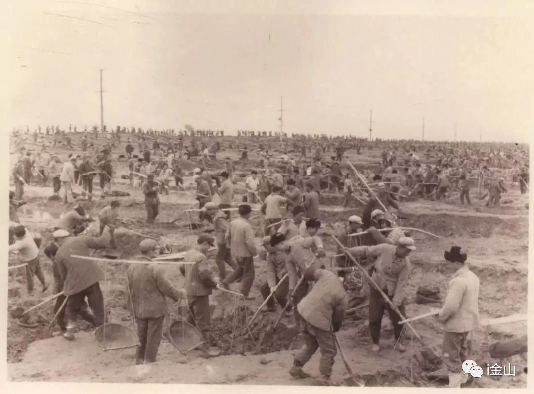 金山围填海最新进度,沿海填海造陆会怎么样