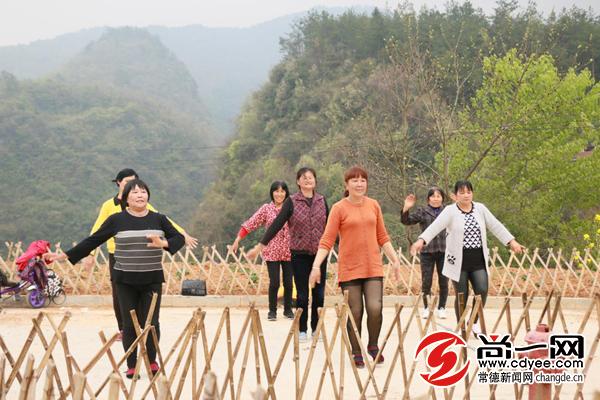 杜仲雄花烂漫开慈利富硒产业春风来