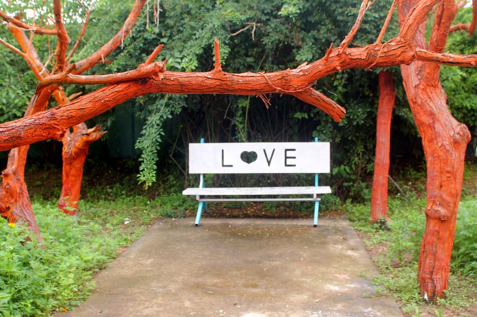 2020崇明花卉博览会,崇明花博会郁金香