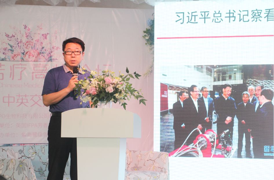 2020崇明花卉博览会,崇明花博会郁金香