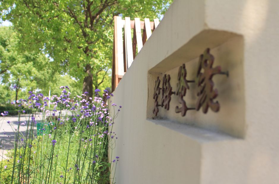 2020崇明花卉博览会,崇明花博会郁金香