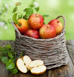 协和专家告诉你常见食物该怎么吃,来自营养专家的饮食建议