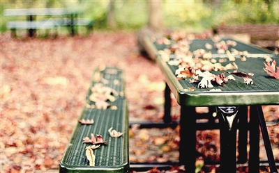 「青城故事」我的河口小学