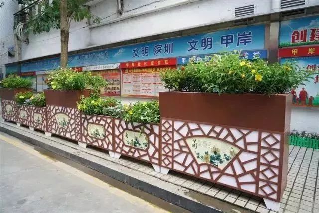 重整行装再蓄力！新安街道将乘核心之势，谋核心之策，创核心之业