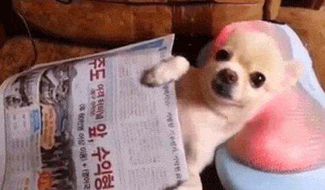 3月不美白45678月全部徒伤悲！你有多白就能撩到多少小狼狗？人肉种草机Vol.6：春季美白进行时！