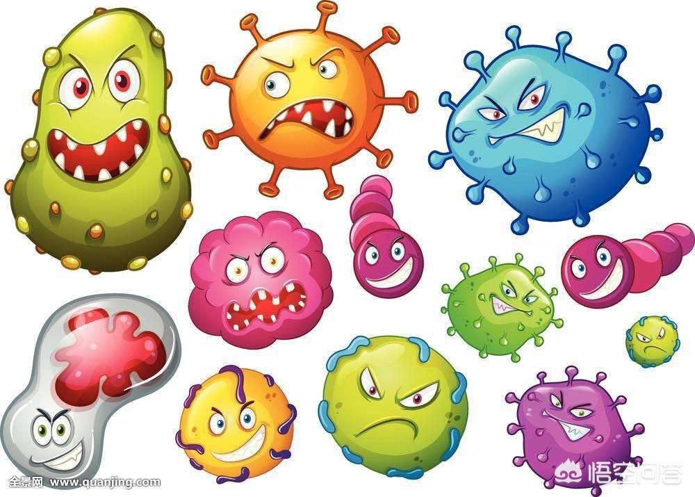 夏季吃冰棍危害视频,为什么吃冰棍伤胃