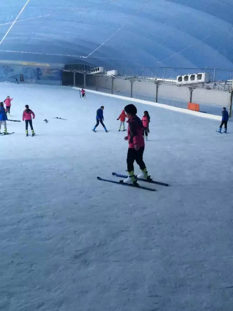 未来三个月没有假期，如何在青田抖high起来~~~（最时髦新玩法）