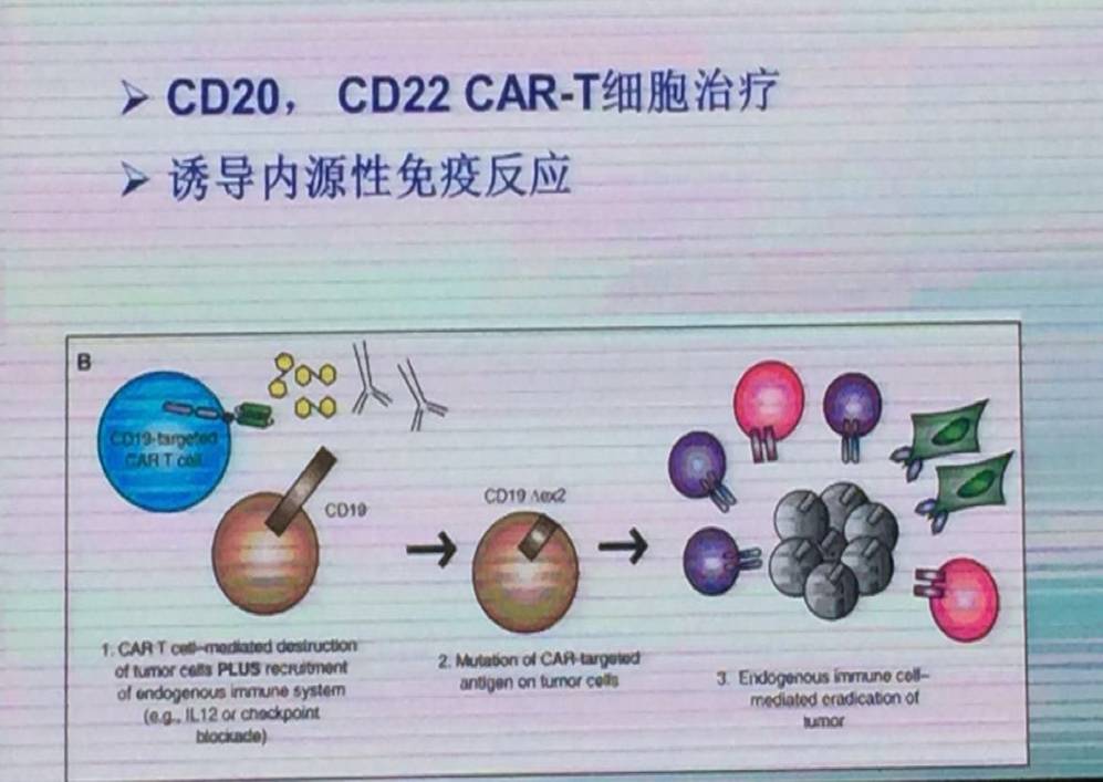 河南120万一针的car-t细胞疗法,120万一针的car-t细胞疗法治疗什么