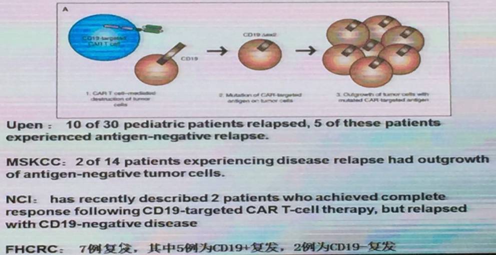 河南120万一针的car-t细胞疗法,120万一针的car-t细胞疗法治疗什么
