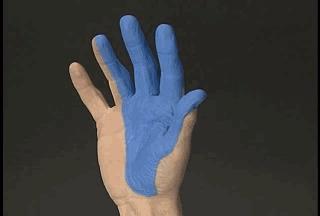 正中神经支配区域,一条神经属于器官吗