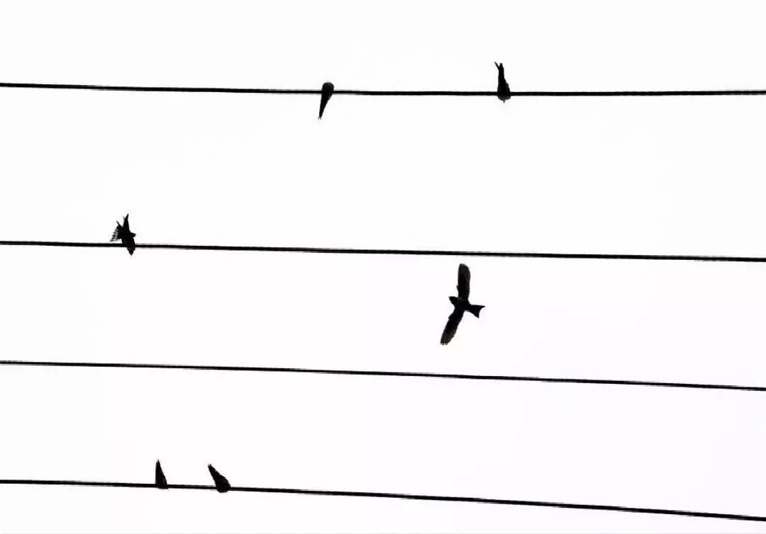 伊沙剪发,伊瓜因点射