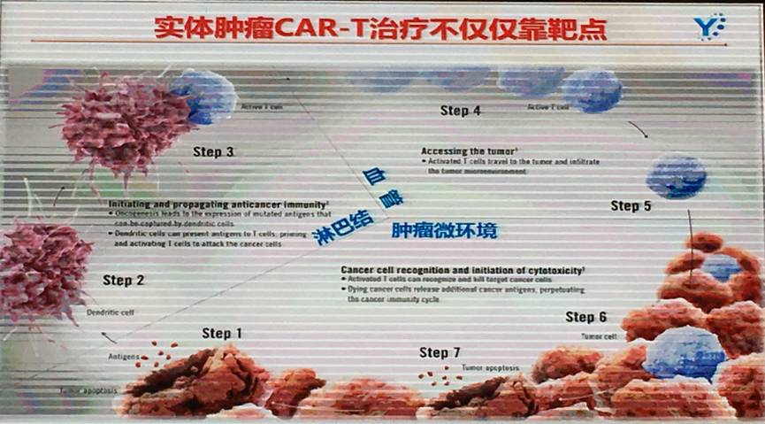 博生吉董事长杨林:CAR-T治疗实体肿瘤遭遇困境，CAR-NK或将是破解之道