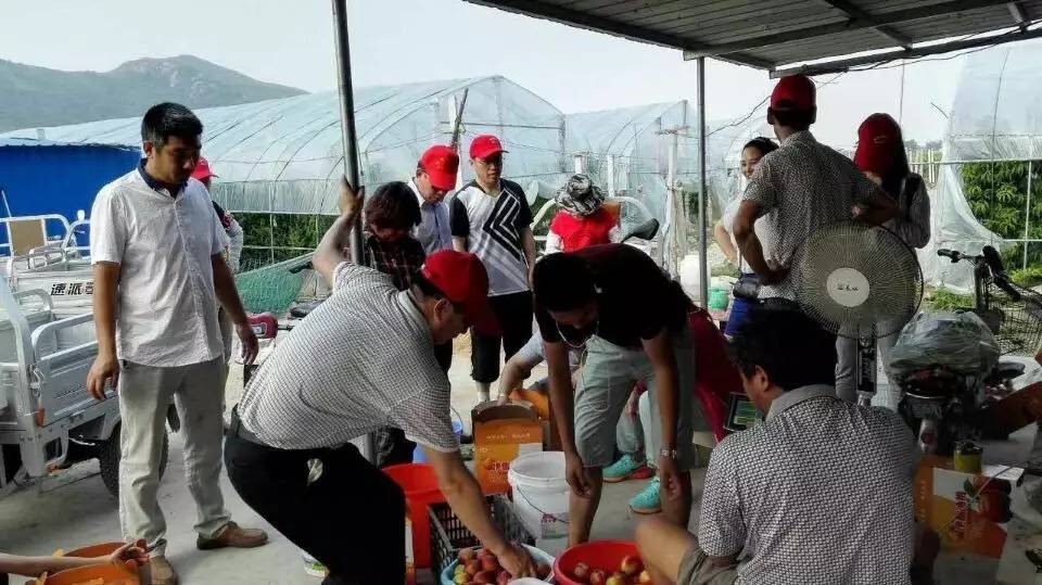 新闻义工团▏购买爱心桃，有两种打开方式