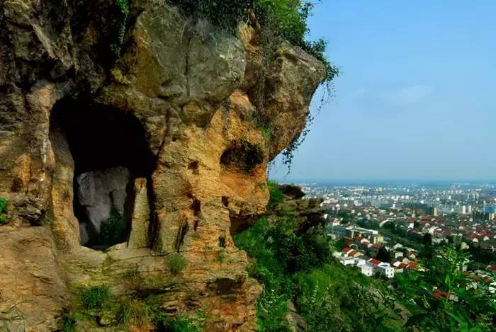 新闻义工团▏购买爱心桃，有两种打开方式