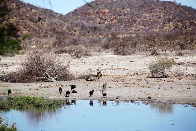 特约专栏|眼界再远，也不妨回头看看“摇篮”
