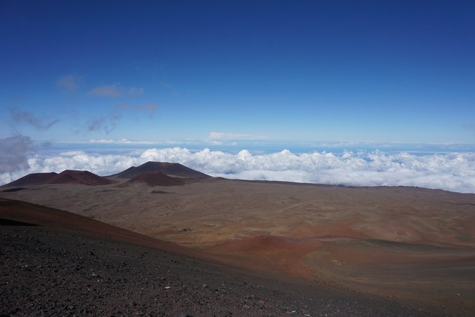 没有意外是哪句电影台词,夏威夷旅行说明