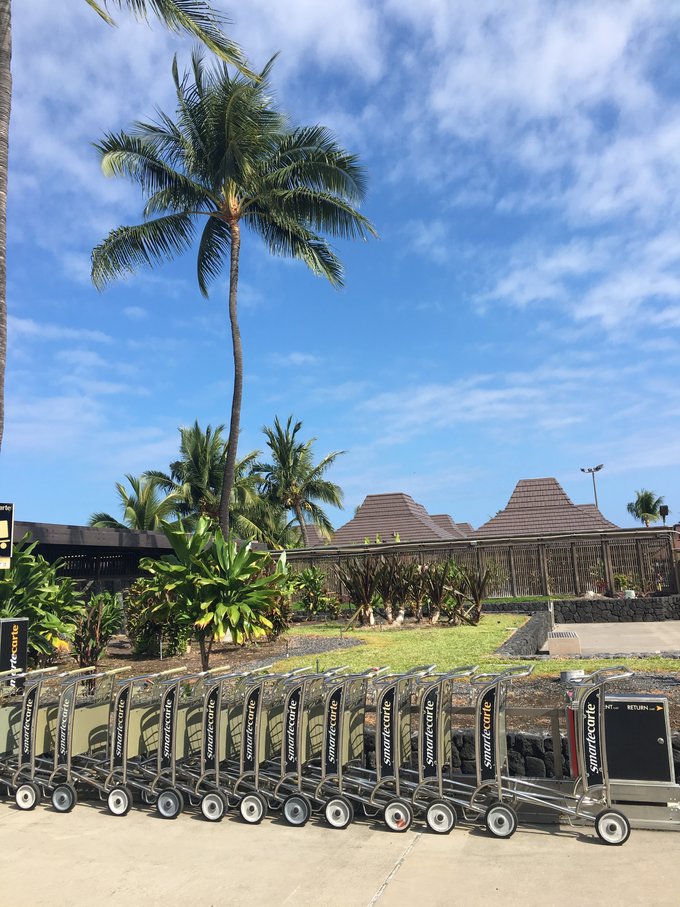 没有意外是哪句电影台词,夏威夷旅行说明