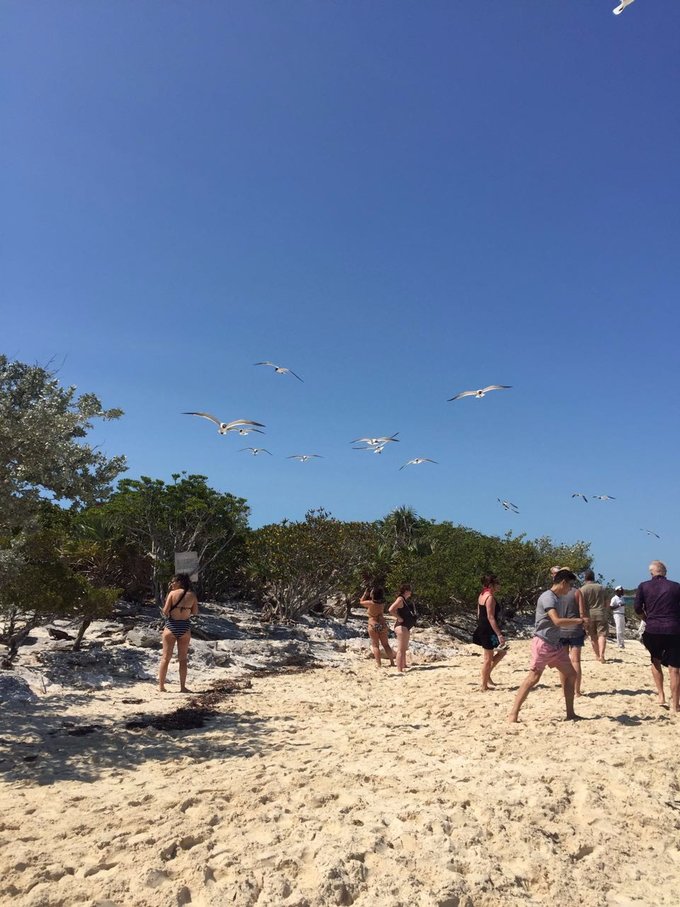 巴哈马旅游风景2020,巴哈马海滩旅游攻略