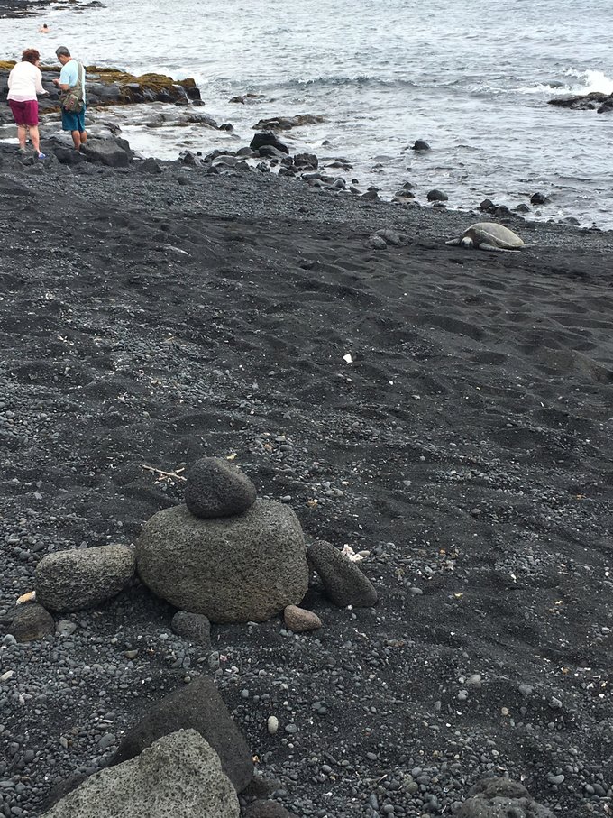没有意外是哪句电影台词,夏威夷旅行说明