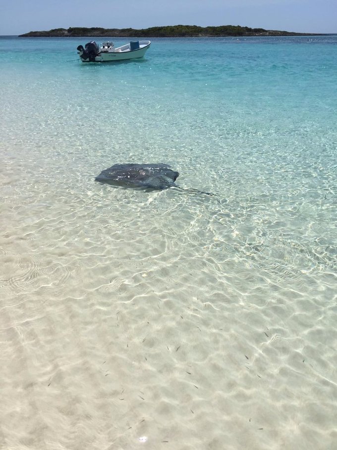 巴哈马旅游风景2020,巴哈马海滩旅游攻略