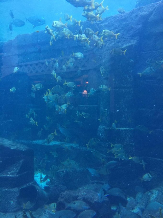 巴哈马旅游风景2020,巴哈马海滩旅游攻略