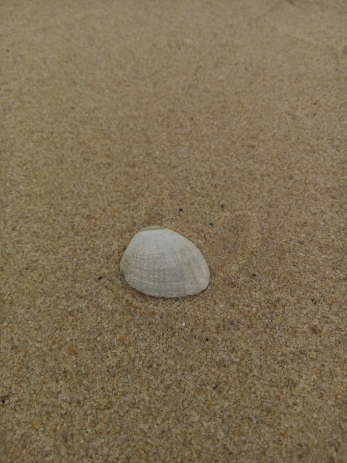 跟团从南宁到北海,越南北海跟团游