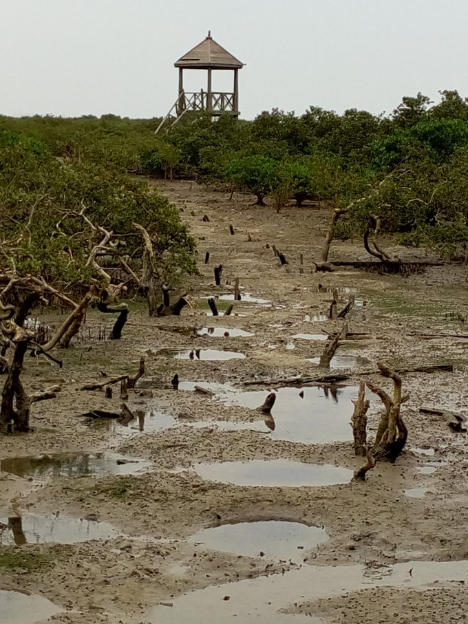 跟团从南宁到北海,越南北海跟团游