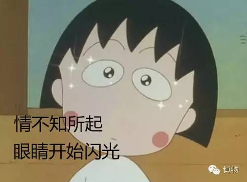 ogm真的好用吗,ogm是什么牌子