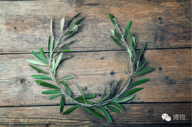 ogm真的好用吗,ogm是什么牌子