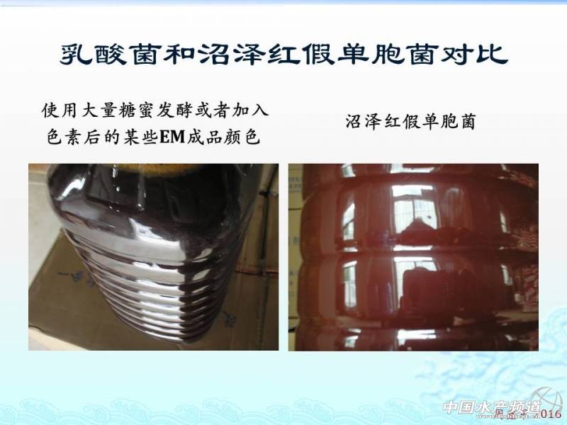 乳酸菌扩培流程,乳酸菌的扩培方法视频